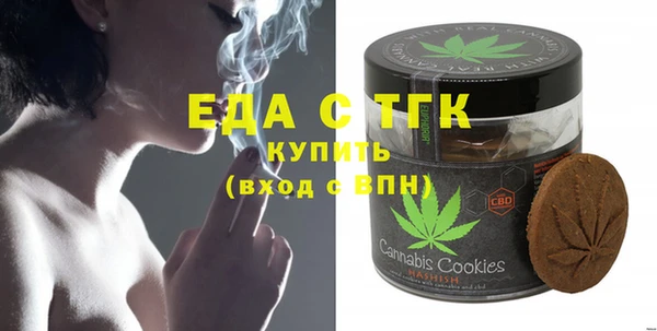 амф Снежногорск