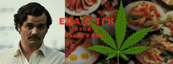 амф Снежногорск