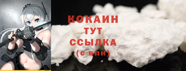 спиды Богородск