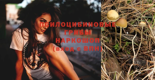 a pvp Богородицк