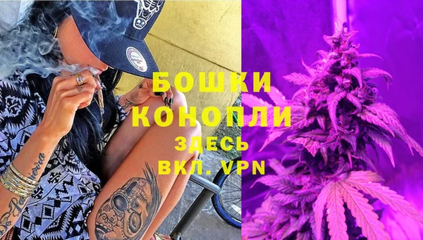 спиды Богородск