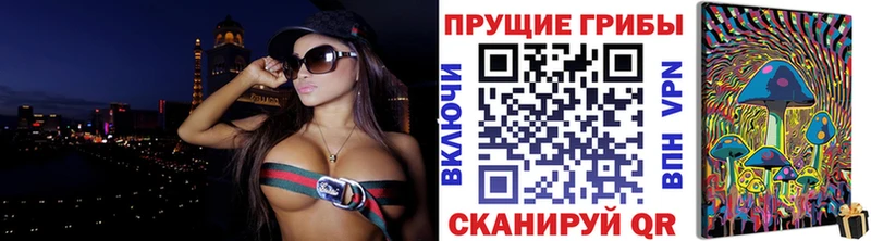 Псилоцибиновые грибы мицелий Торжок