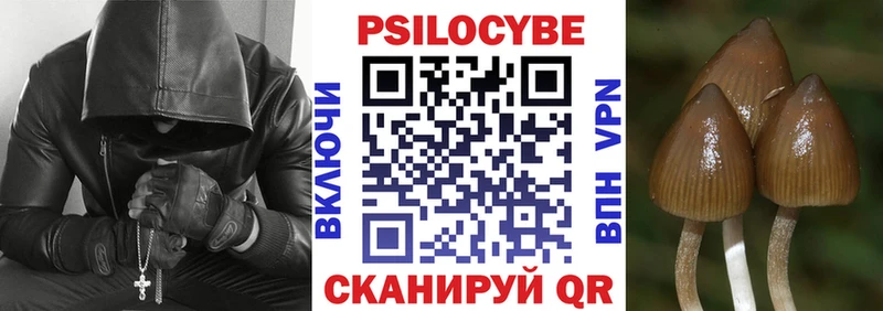 Галлюциногенные грибы прущие грибы  кракен зеркало  Торжок  закладки 